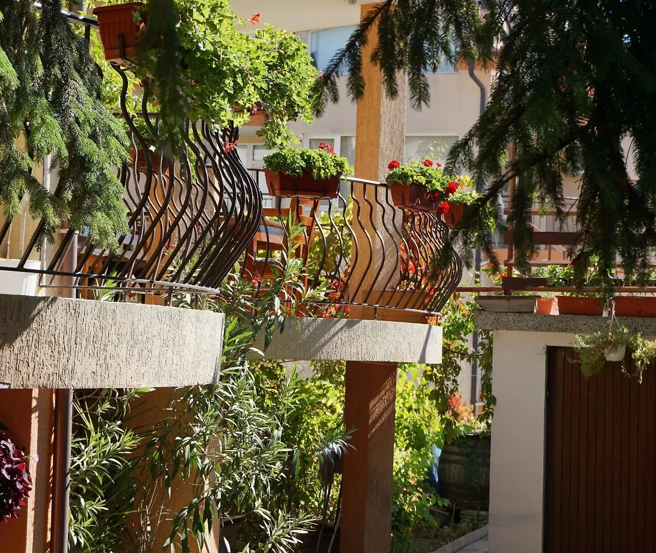 Gæstehus Kalina Guest Rooms Sozopol