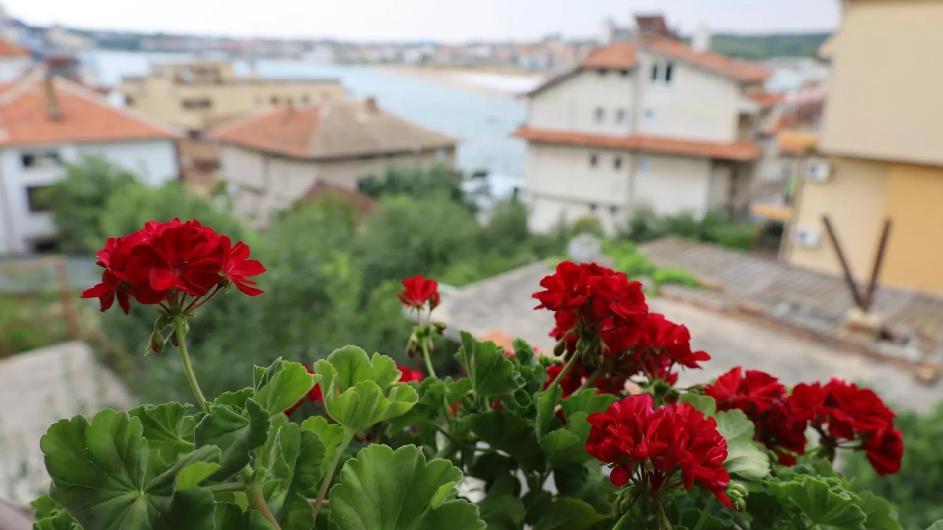 Kalina Guest Rooms Sozopol 0*,
