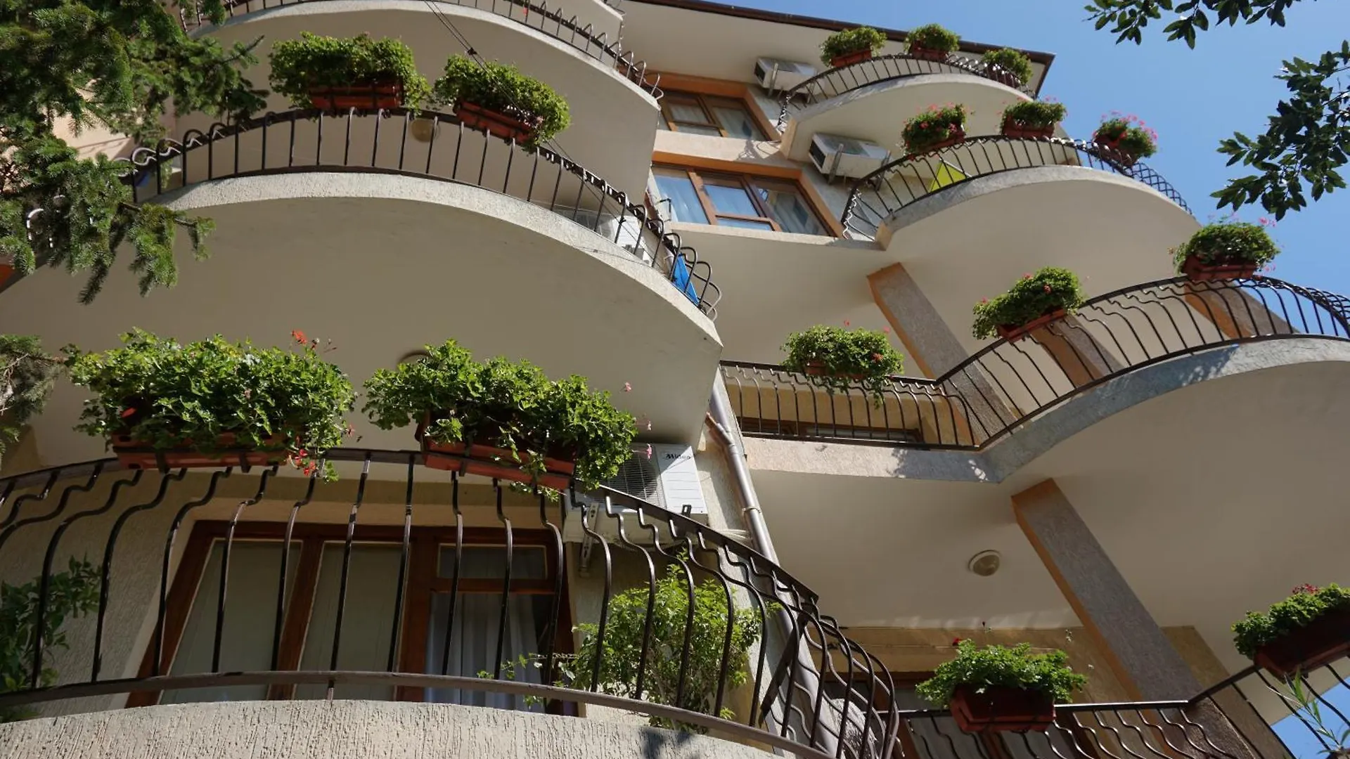 Gæstehus Kalina Guest Rooms Sozopol
